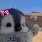 profile-pic