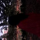 profile-pic