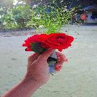 ruk****com