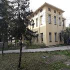 Mahbub Ahmed