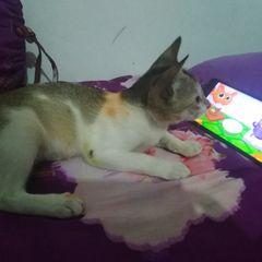 profile-pic