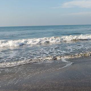 profile-pic