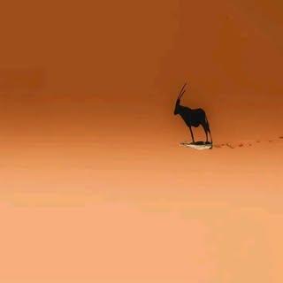 profile-pic