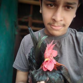 profile-pic