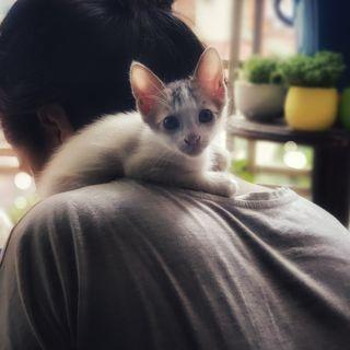 profile-pic