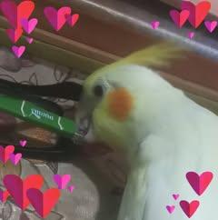profile-pic