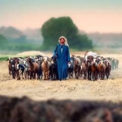Dinar Hossain