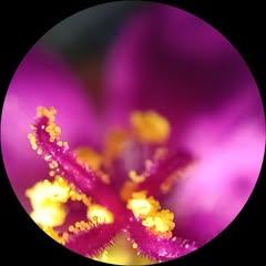 profile-pic